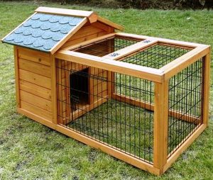 découvrez notre poulailler écologique, conçu pour offrir un habitat sain et durable à vos poules. profitez d'œufs frais tout en respectant l'environnement. idéal pour les jardiniers soucieux de la nature!