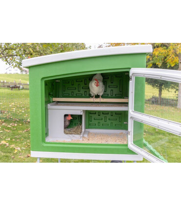 découvrez notre poulailler en plastique, une solution pratique et durable pour accueillir vos poules. facile à entretenir et résistant aux intempéries, ce poulailler offre un habitat sécurisé pour vos volatiles tout en s'intégrant parfaitement dans votre jardin. optez pour le confort et la simplicité avec notre poulailler en plastique.