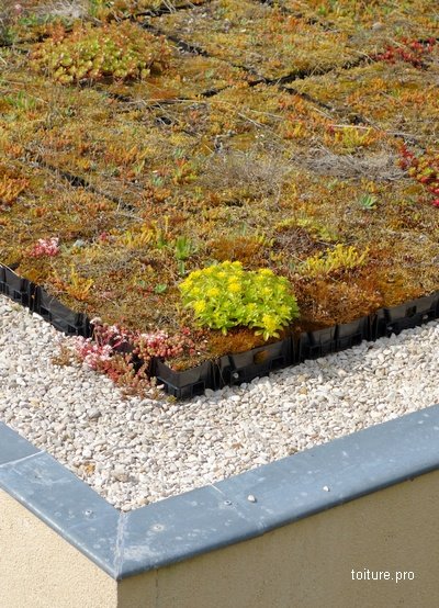 découvrez tout ce qu'il faut savoir sur le prix des toits. comparez les différents matériaux et styles, obtenez des estimations précises et trouvez le meilleur rapport qualité-prix pour votre projet de toiture.