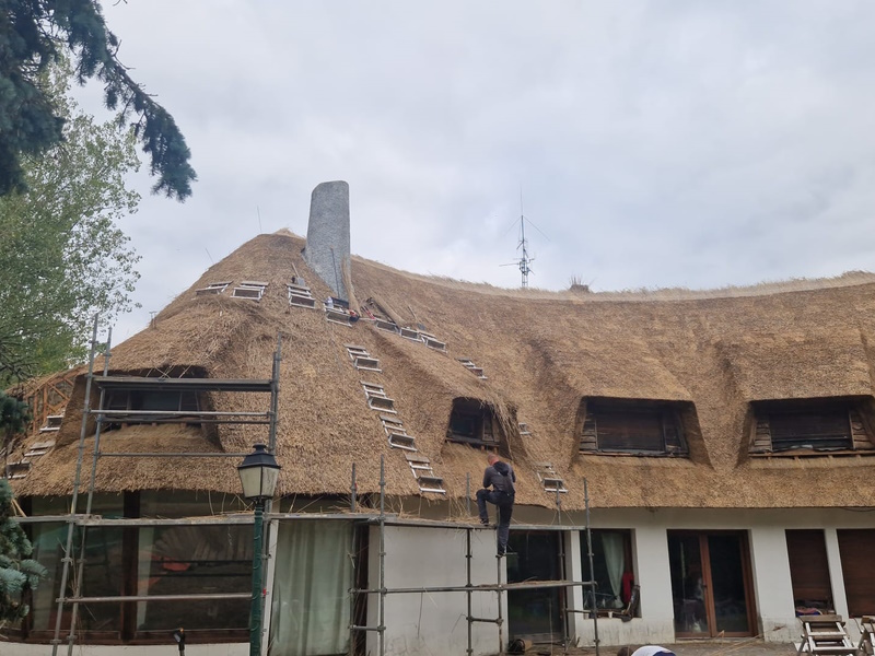 découvrez les prix du toit en chaume, une couverture traditionnelle et esthétique. obtenez des informations sur les coûts, les avantages et les conseils pour choisir le meilleur toiturier. idéal pour restaurer ou construire votre maison, le toit en chaume apporte charme et isolation!