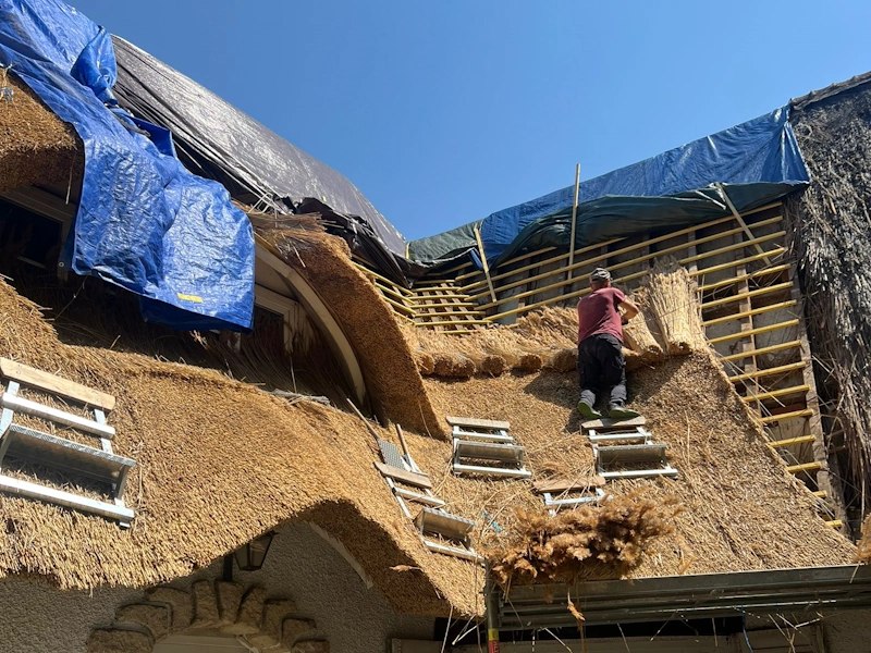 découvrez les prix du toit en chaume, un choix esthétique et durable pour votre maison. obtenez des conseils sur les coûts, les avantages et les options disponibles pour embellir votre habitat avec ce matériau traditionnel.