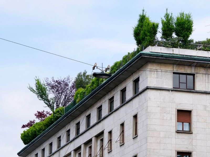 découvrez tout ce qu'il faut savoir sur le prix des toits plats végétalisés. informez-vous sur les coûts, les avantages environnementaux et les critères à considérer pour un projet de toiture écologique et esthétique.