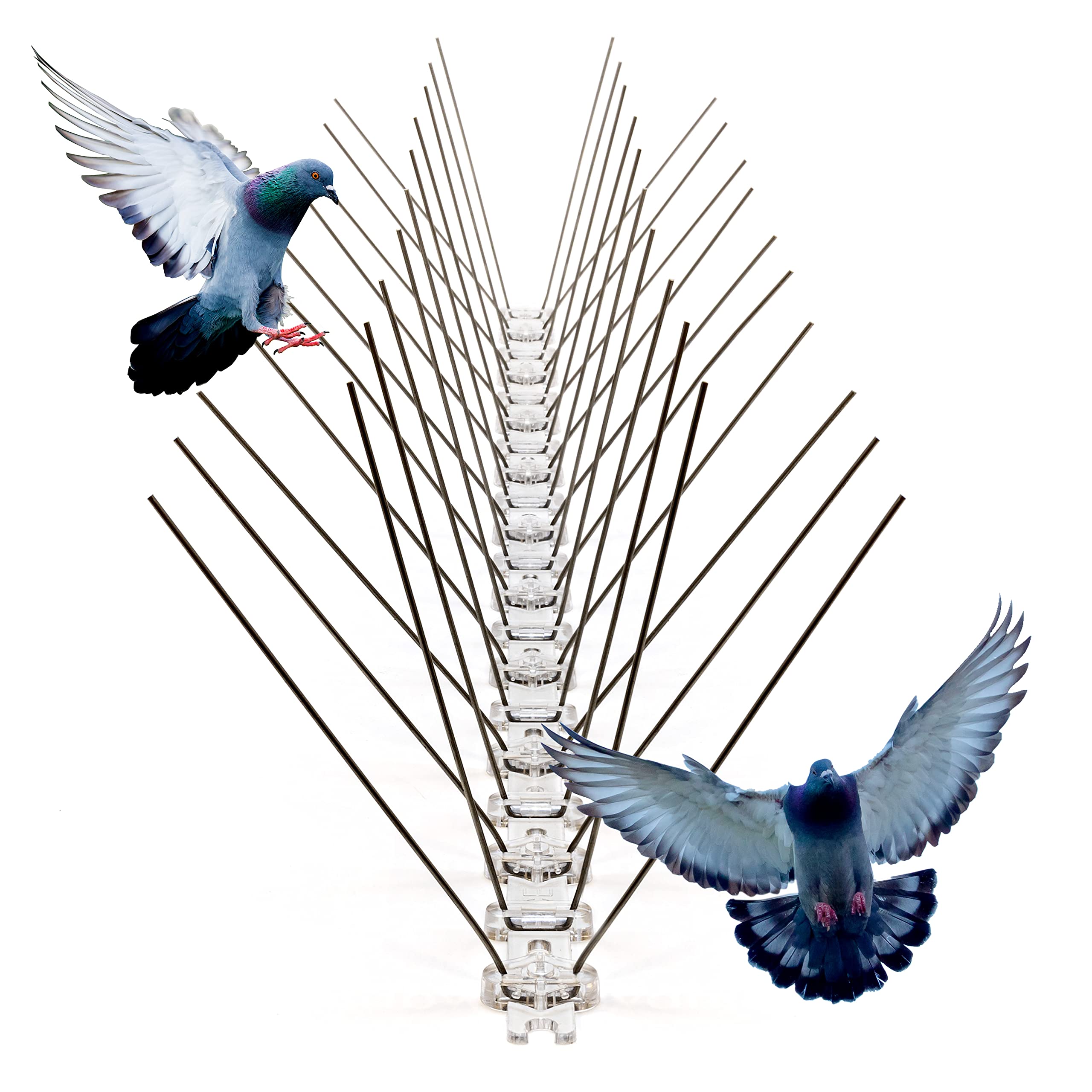 découvrez des méthodes efficaces pour repousser les pigeons de votre toit. protégez votre maison des nuisances causées par ces oiseaux et préservez l'esthétique de votre toit grâce à nos conseils pratiques et astuces écologiques.