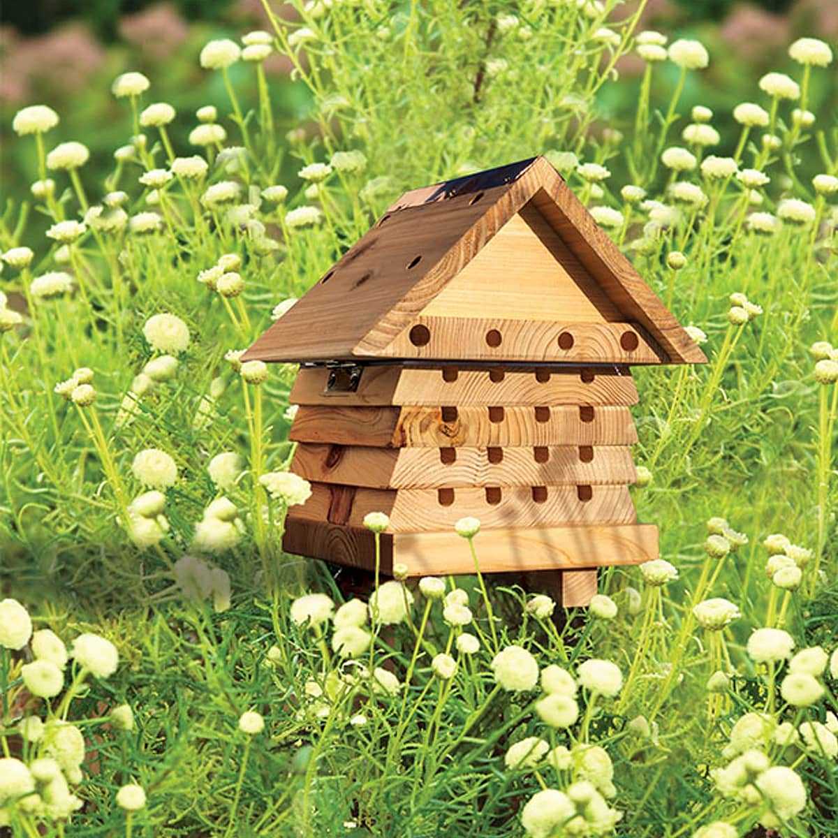 découvrez l'univers fascinant des ruches et l'importance des abeilles pour notre écosystème. plongez dans le monde apicole et apprenez comment ces incroyables insectes participent à la pollinisation et à la production de miel.