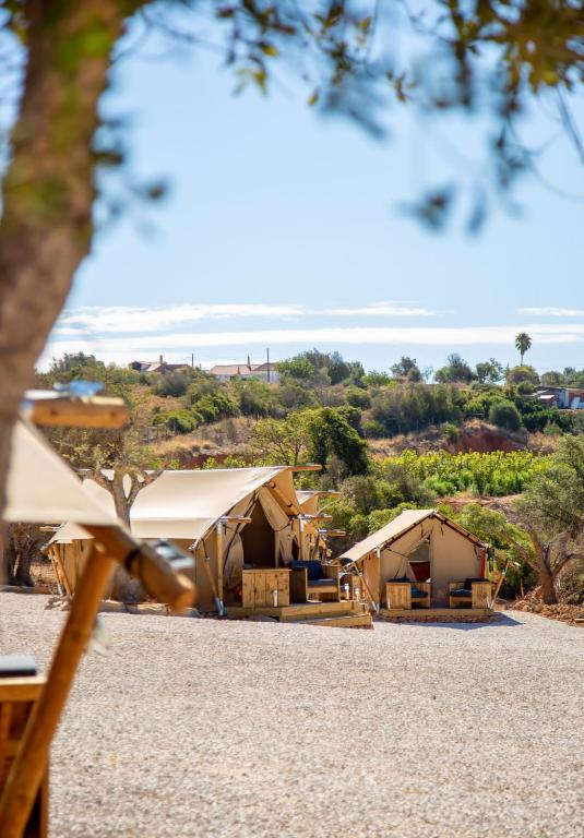 découvrez la tente toit oasis, le compagnon idéal pour vos aventures en plein air. facile à installer et conçue pour offrir confort et protection, cette tente vous permettra de profiter pleinement de la nature tout en bénéficiant d'un espace de sommeil douillet. parfaite pour les amateurs de camping et de road trips, la tente toit oasis allie qualité et praticité.