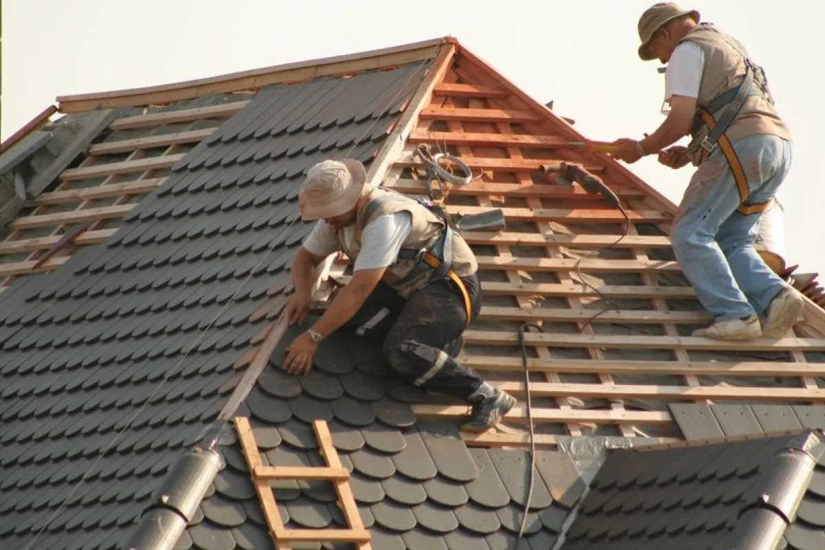 découvrez tout ce qu'il faut savoir sur les toits : types, matériaux, entretien et conseils pour choisir le toit idéal pour votre maison. protégez votre habitat des intempéries avec nos astuces pratiques et professionnelles.