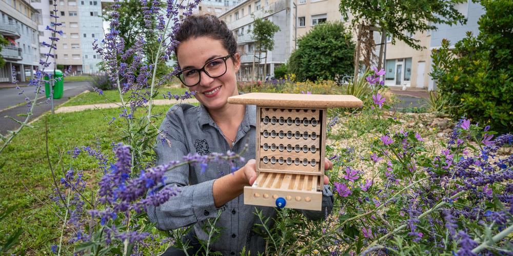 découvrez le toit des abeilles à la rochelle, un espace dédié à la pollinisation et à la préservation des abeilles. apprenez-en plus sur l'importance de ces pollinisateurs pour notre écosystème tout en admirant des paysages urbains uniques. rejoignez-nous pour des visites éducatives et engagez-vous pour la protection de la biodiversité.
