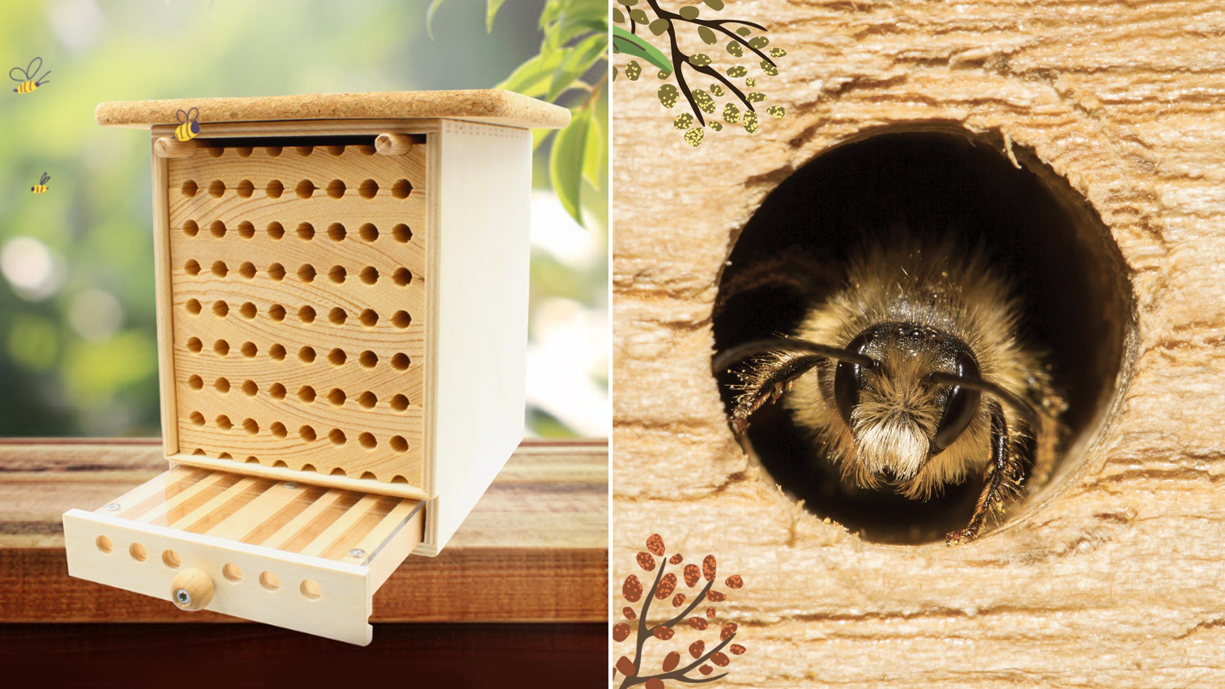 découvrez le toit des abeilles à la rochelle, un espace unique dédié à la sensibilisation et à la préservation des abeilles. plongez dans l'univers fascinant de l'apiculture, participez à des ateliers interactifs et apprenez comment protéger ces pollinisateurs essentiels à notre écosystème.