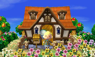 découvrez tout sur le toit acnl : designs, matériaux et conseils pour optimiser votre espace extérieur tout en ajoutant une touche esthétique à votre maison. idéal pour les passionnés d'aménagement et de construction.