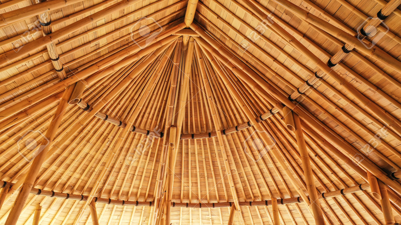 découvrez les avantages et l'esthétique du toit en bambou, un choix écologique et durable pour vos projets de construction. apprenez comment ce matériau innovant allie style, résistance et respect de l'environnement.