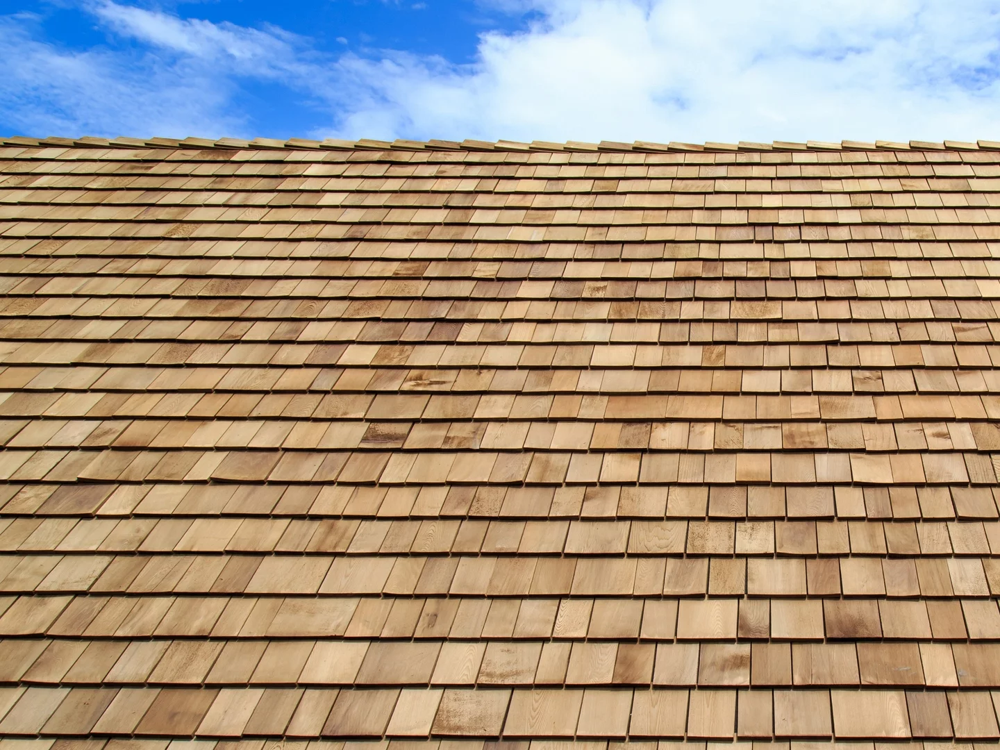 découvrez les avantages du toit en bois : esthétique, durabilité et isolation. optez pour une solution écologique et économique pour votre maison avec des matériaux naturels qui s'intègrent harmonieusement à votre environnement.