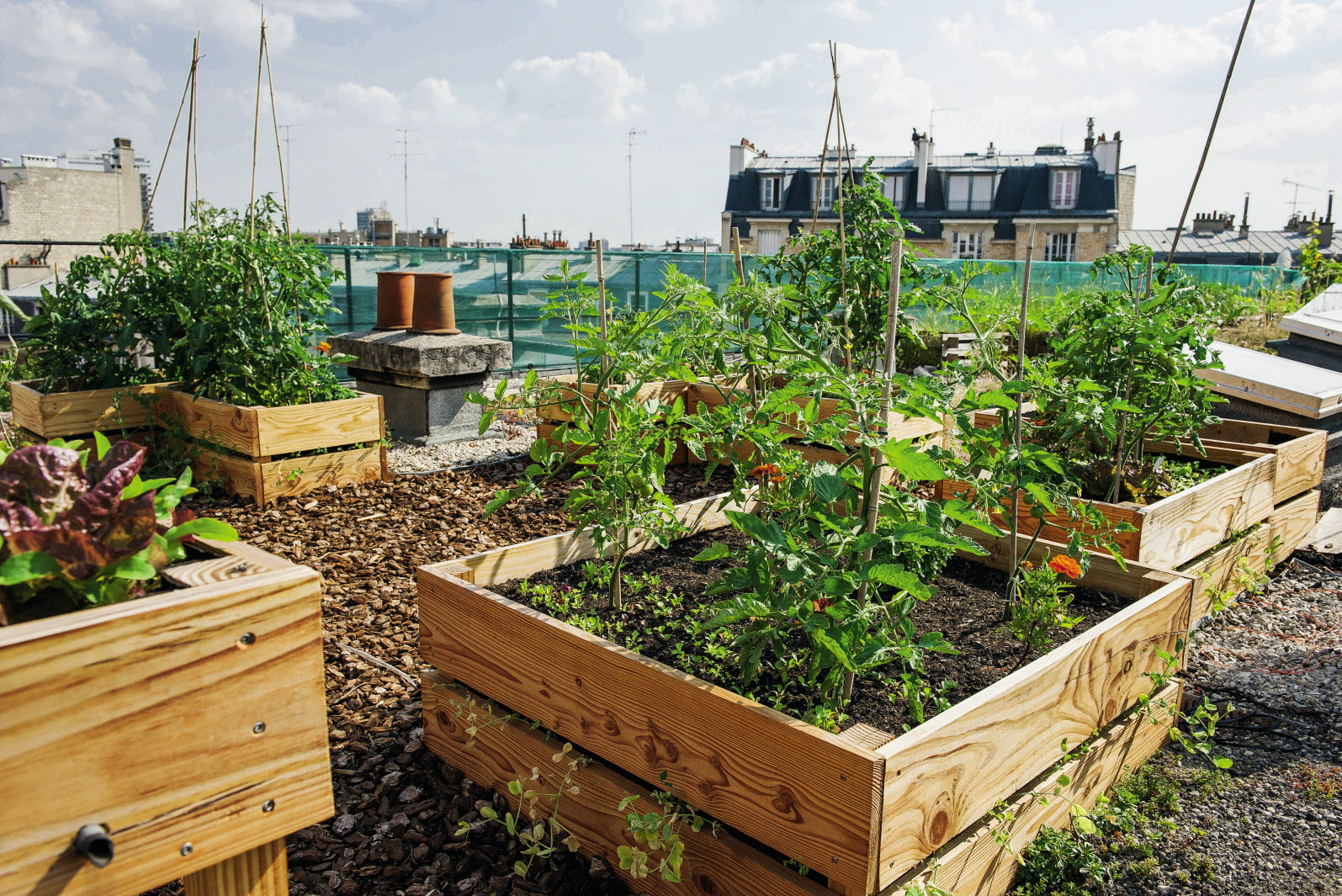 découvrez comment créer un toit carré potager, une solution innovante pour cultiver vos légumes et herbes aromatiques en milieu urbain. optimisez votre espace extérieur tout en profitant d'un jardin vertical esthétique et fonctionnel.