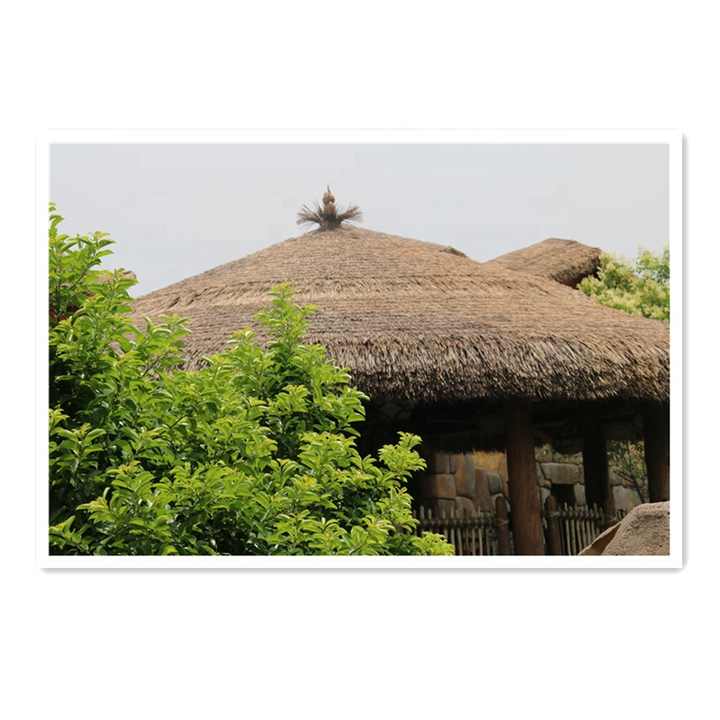 découvrez l'art et la tradition des toits en roseaux, une technique ancestrale alliant esthétisme et écologie. apprenez comment ces toits naturels offrent une excellente isolation et s'intègrent harmonieusement dans le paysage. explorez les avantages, l'entretien et les secrets d'un toit durable et esthétique.