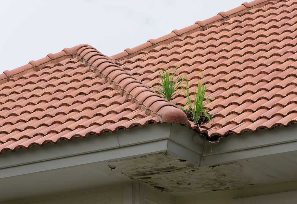 découvrez les avantages du toit en tuile, une solution durable et esthétique pour votre maison. apprenez-en plus sur ses performances en matière d'isolation, de résistance aux intempéries et de choix de styles et de couleurs.