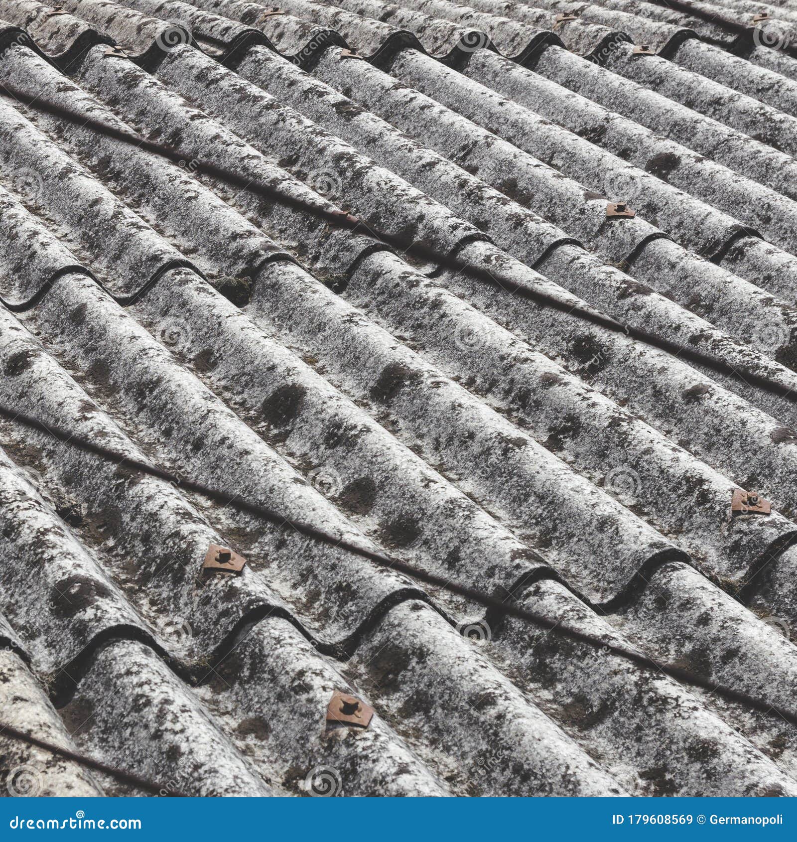 découvrez l'univers de 'toit éternel', une exploration fascinante des solutions durables pour les toitures, alliant esthétique et écologie. transformez votre espace avec des matériaux innovants et respectueux de l'environnement.