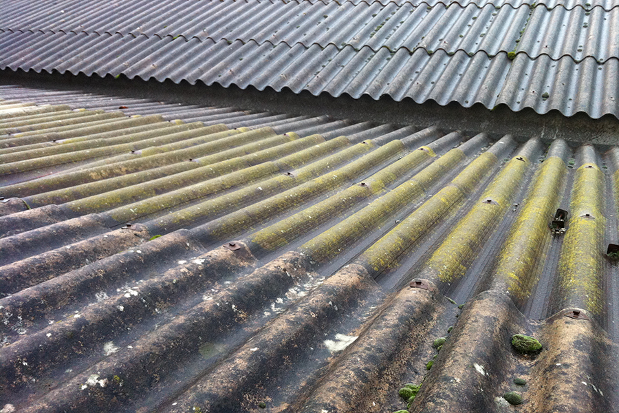 découvrez les avantages du toit en éternit, une solution durable et fiable pour la couverture de votre habitation. apprenez-en plus sur ses propriétés, son entretien et son impact environnemental.