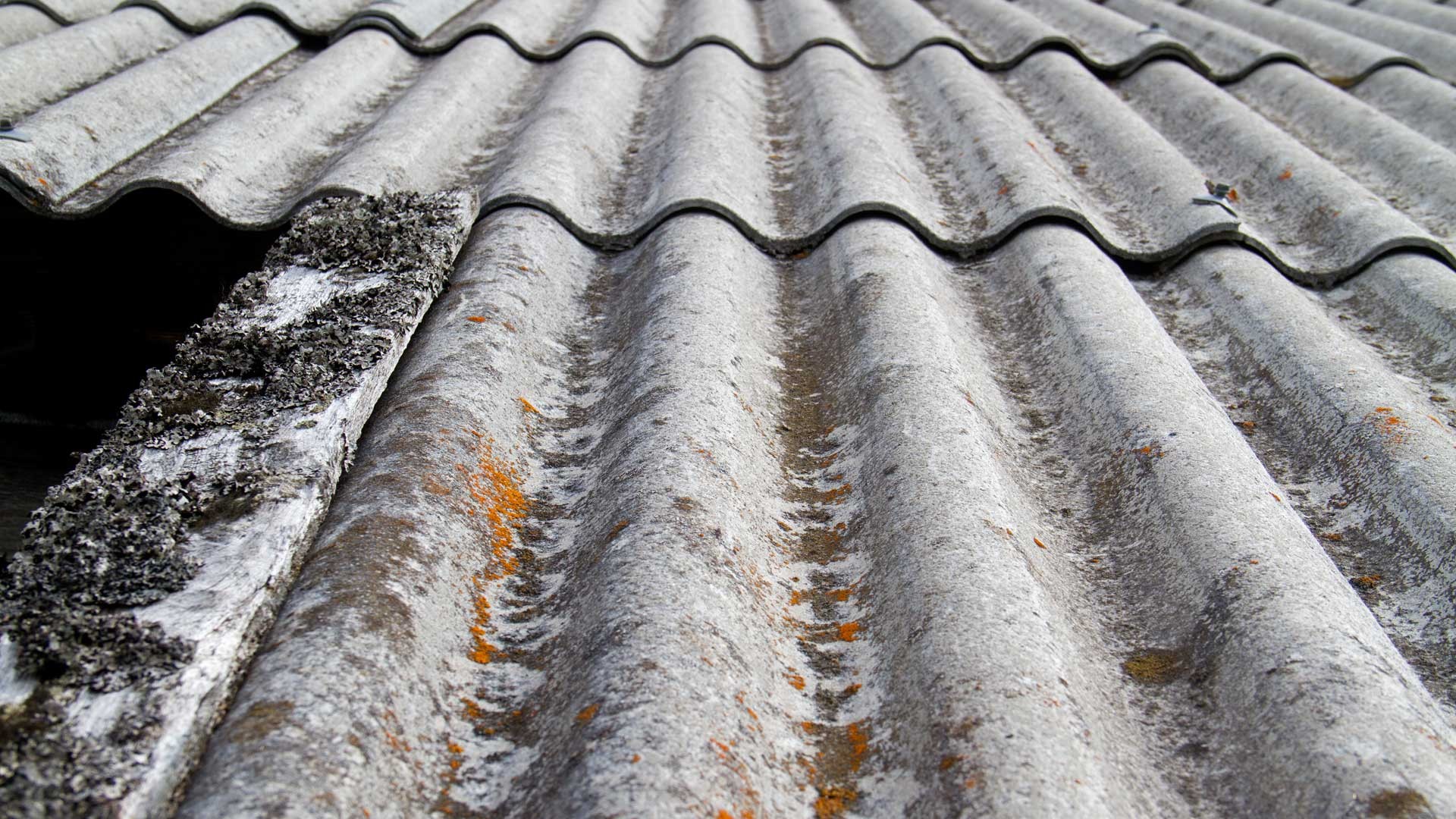 découvrez les avantages et inconvénients des toits en fibrociment, un matériau durable et économique pour votre construction. apprenez comment il peut résister aux intempéries tout en offrant une esthétique unique.
