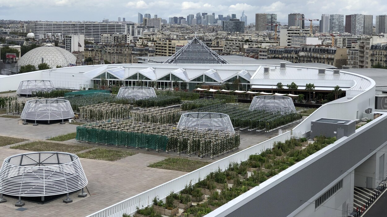 découvrez les toits jardins de paris, un oasis de verdure suspendu au-dessus de la ville. explorez ces espaces uniques où nature et urbanisme se rencontrent, offrant un cadre idéal pour la détente, la biodiversité et des vues imprenables sur la capitale.