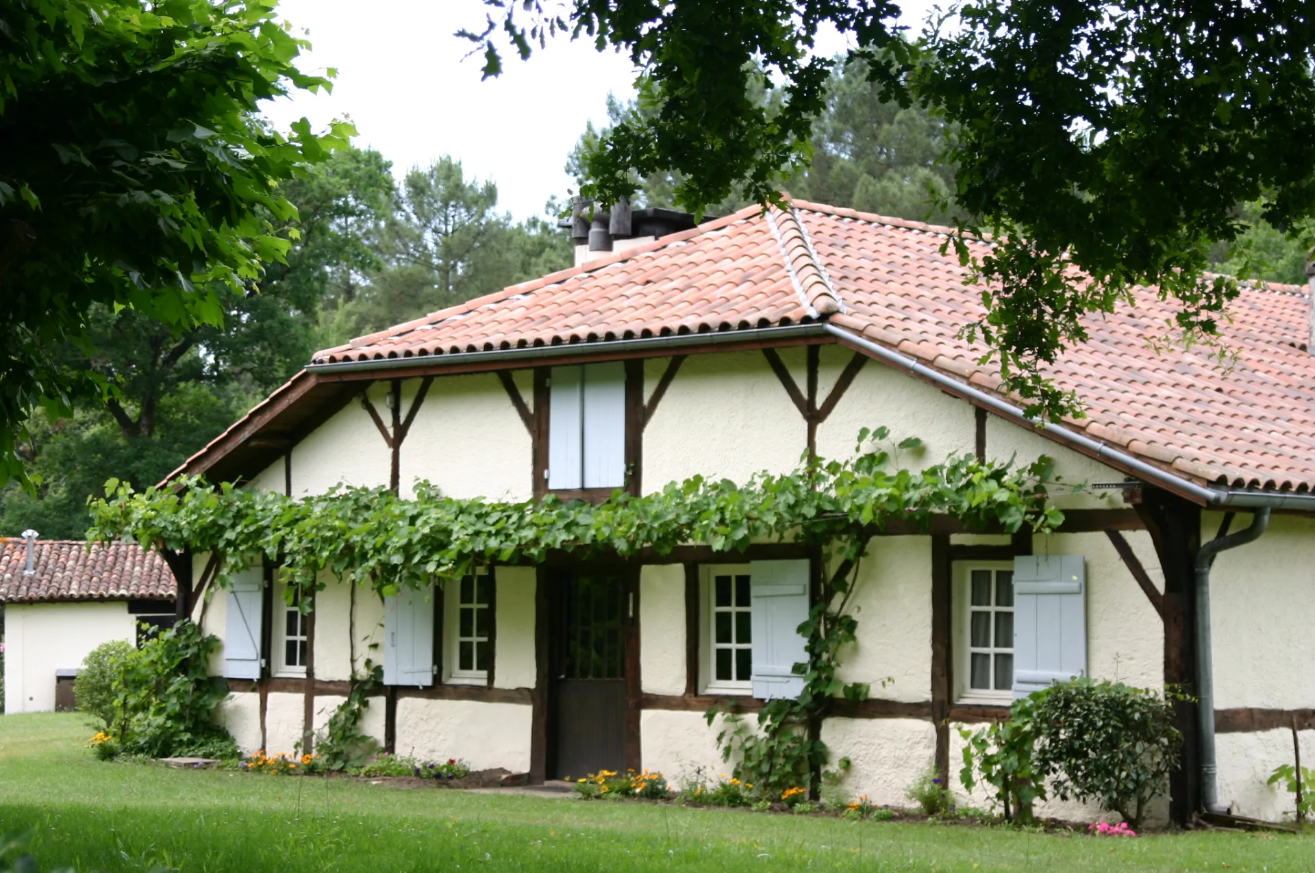 découvrez le charme authentique du toit d'une maison landaise, symbole de tradition et de confort. apprenez-en davantage sur ses caractéristiques uniques, son architecture et son rôle dans l'optimisation de la luminosité et de l'aération de votre habitat.
