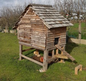 découvrez comment construire un toit en palette pratique et esthétique pour votre extérieur. idéal pour abris de jardin, terrasses ou projets diy, nos conseils vous guideront pas à pas.