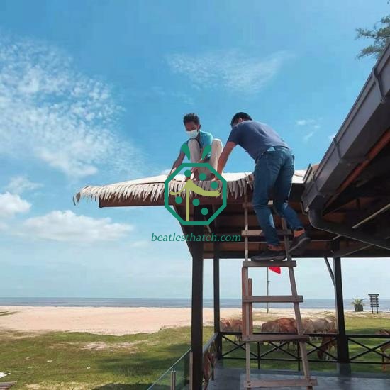 découvrez le toit palme, une solution architecturale unique qui allie esthétique et efficacité. idéal pour créer un style tropical et chaleureux, ce type de toiture apporte une touche d'originalité à vos projets de construction ou de rénovation.