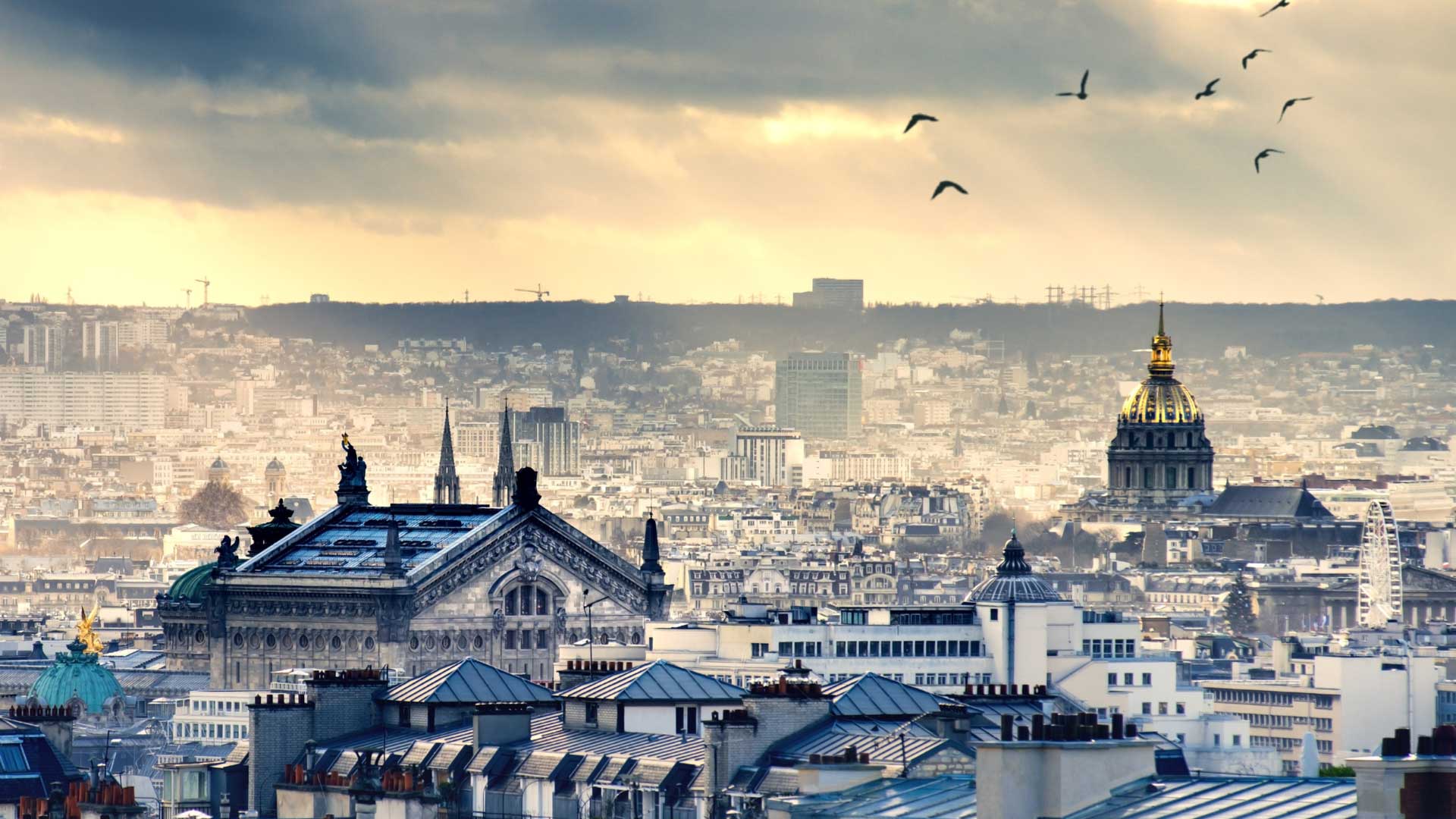 découvrez les magnifiques toits de paris, symbole de l'architecture française et de l'élégance parisienne. explorez des vues imprenables sur la ville lumière et plongez dans l'ambiance unique de ses terrasses emblématiques.