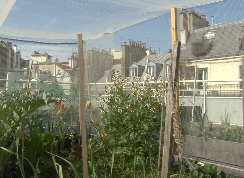 découvrez comment aménager un toit potager pour cultiver vos propres légumes et herbes aromatiques en milieu urbain. apprenez les meilleures techniques de jardinage, les bienfaits de l'agriculture urbaine et transformez votre espace extérieur en un coin de verdure durable !
