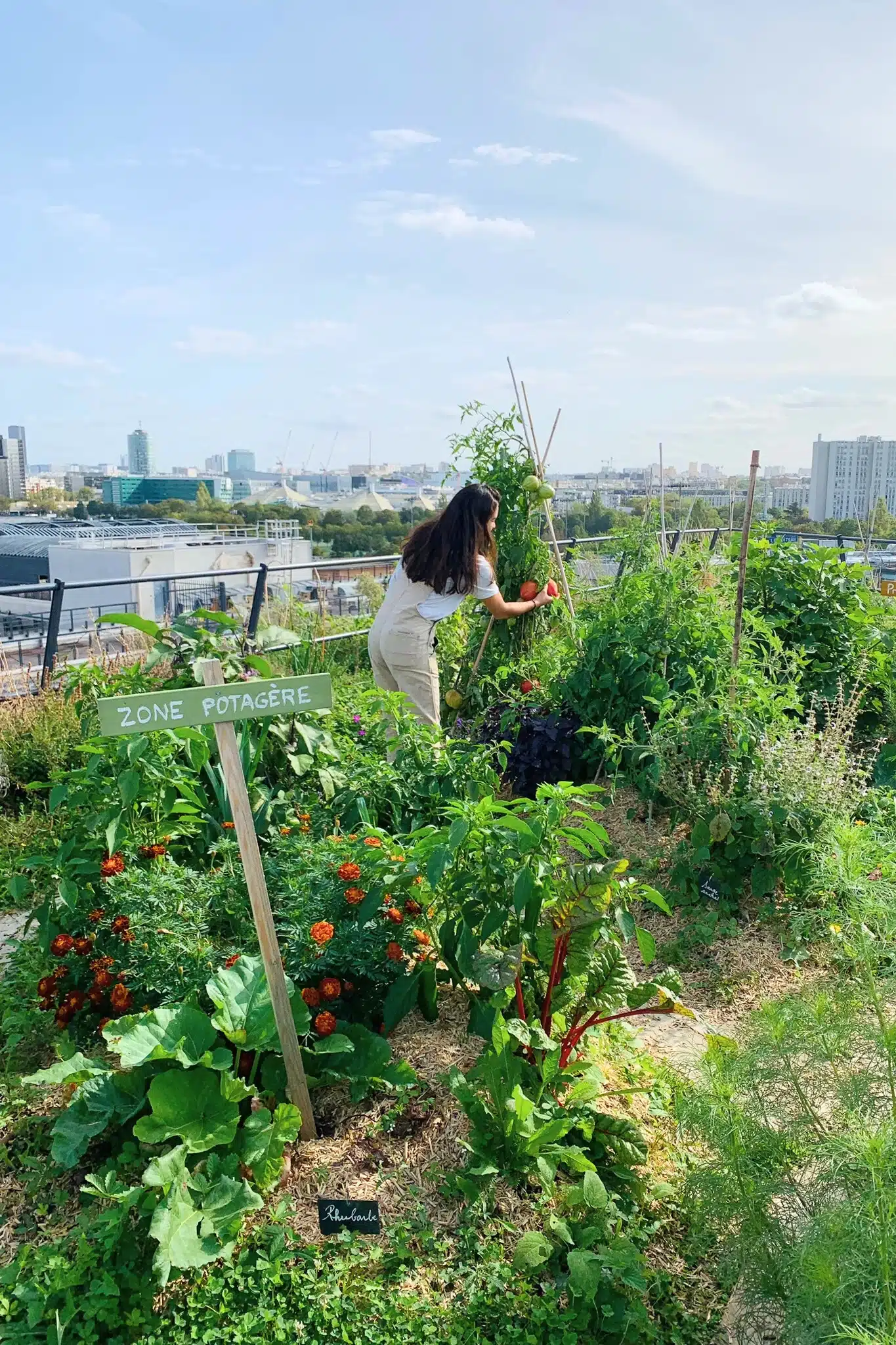 découvrez les avantages d'un toit potager : un espace vert durable, frais et accessible en milieu urbain. apprenez à cultiver vos propres légumes et herbes aromatiques tout en améliorant l'isolation de votre bâtiment.