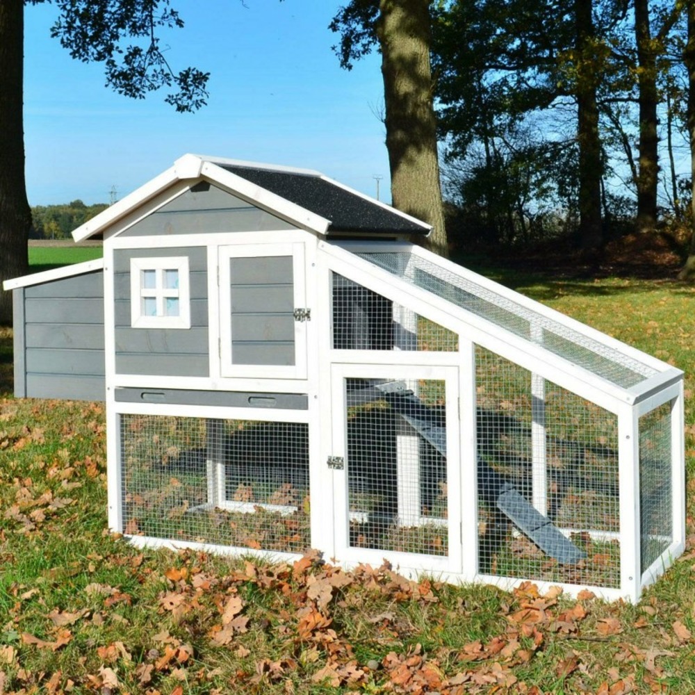 découvrez notre guide sur le toit poulailler, crucial pour garantir une protection optimale de vos volailles. apprenez à choisir les matériaux adéquats, les techniques de construction et les avantages d'un bon toit pour le bien-être de vos poules.