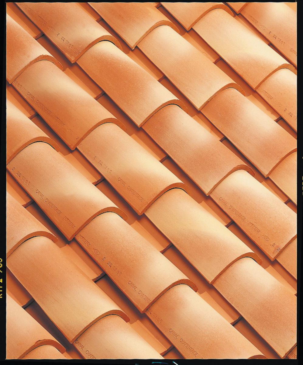 découvrez les experts en toiture à saintonge, offrant des services de qualité pour l'installation, la réparation et l'entretien de votre toit. bénéficiez de conseils personnalisés et d'un travail soigné pour protéger votre maison.