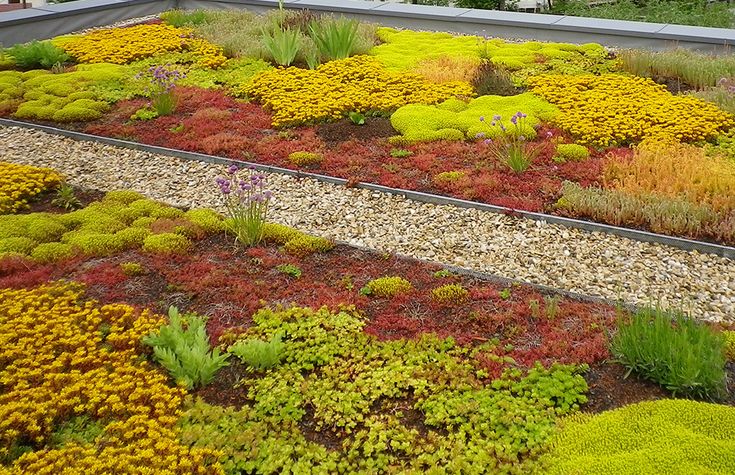 découvrez les avantages du toit sedum, une solution écologique et esthétique pour vos projets de construction. apprenez-en plus sur ses propriétés isolantes, sa capacité à améliorer la biodiversité urbaine et son entretien minimal. transformez votre espace avec une toiture végétalisée qui allie durabilité et design.