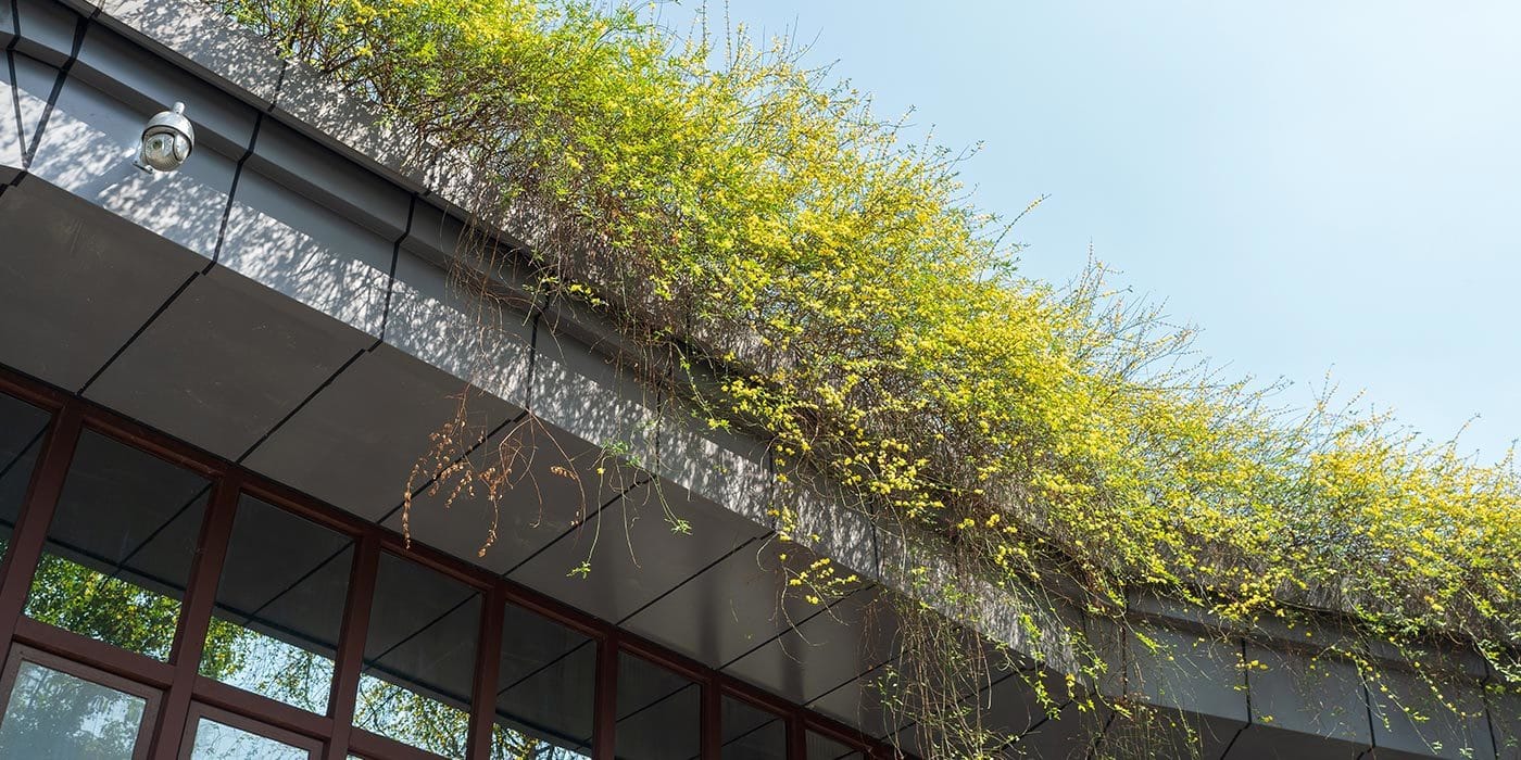 découvrez les avantages et inconvénients d'un toit terrasse. cette solution moderne offre un espace de vie supplémentaire tout en optimisant l'esthétisme de votre bâtiment. informez-vous sur les différents aspects à considérer avant de vous lancer dans ce projet.