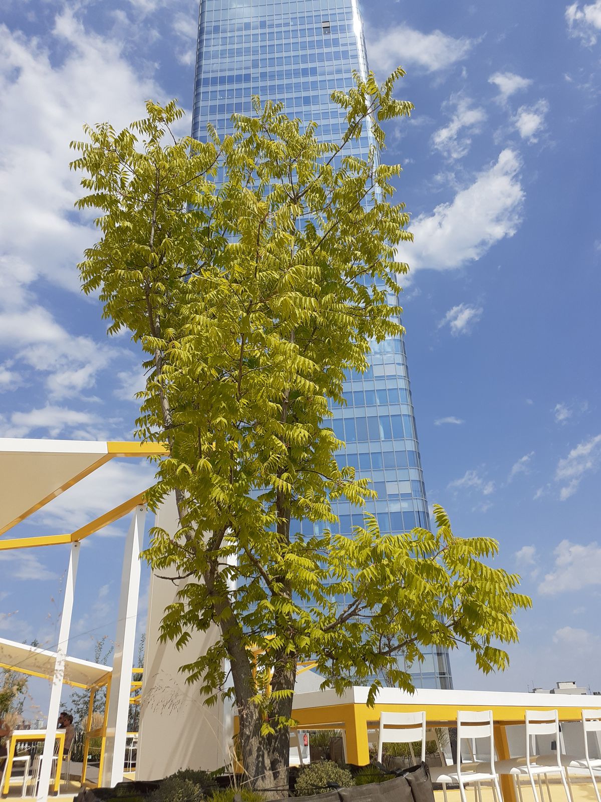 découvrez notre toit-terrasse à part-dieu, un espace unique offrant une vue imprenable sur la ville. profitez d'un cadre idyllique pour vos moments de détente ou vos événements. rejoignez-nous pour une expérience inoubliable au sommet de lyon.