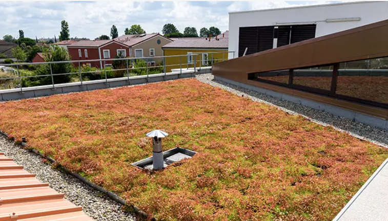 découvrez les avantages et le charme d'un toit terrasse, un espace de vie unique en plein air. idéal pour profiter des vues panoramiques, des moments de détente ou des soirées entre amis. aménagez votre toit terrasse en un véritable coin de paradis.