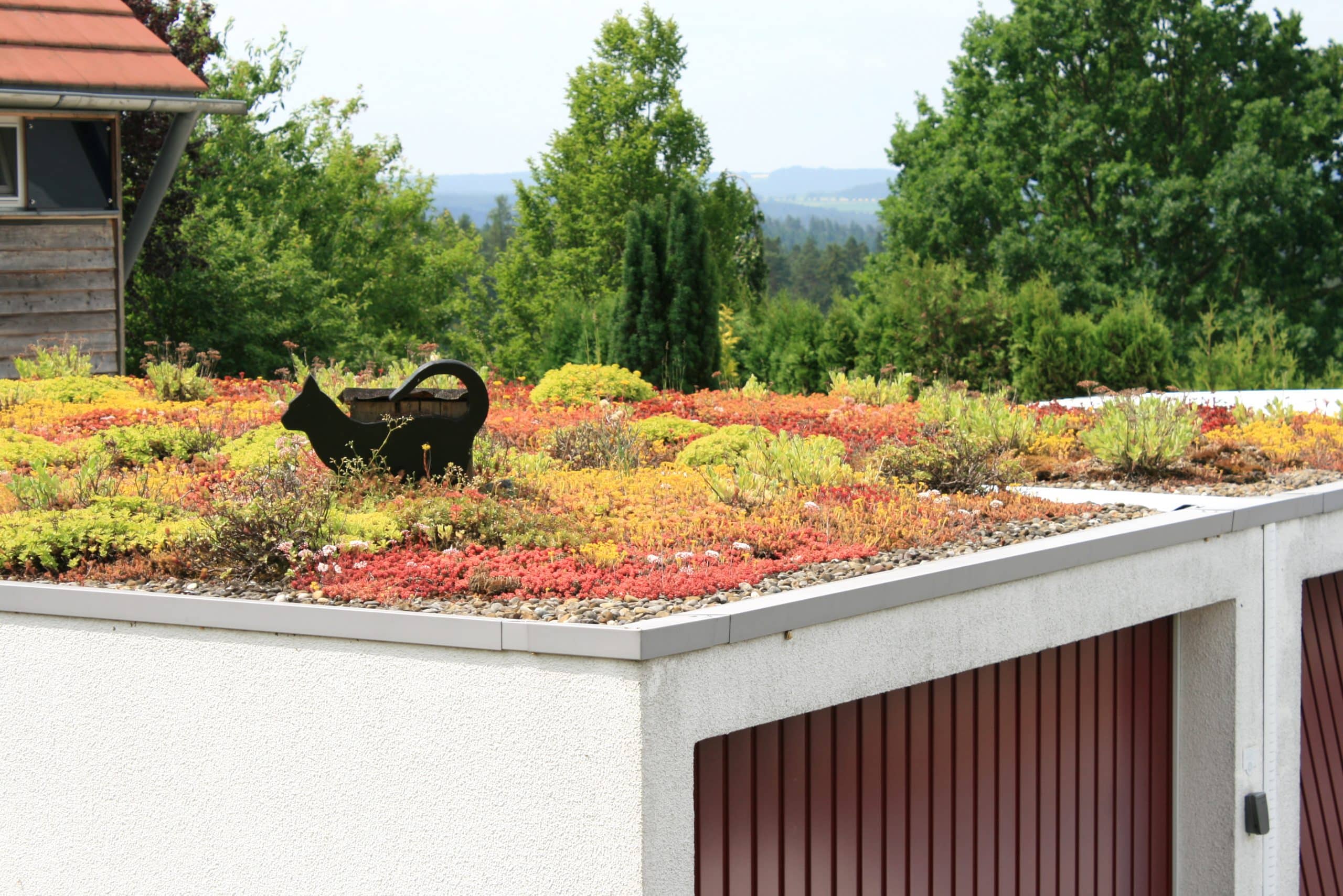 découvrez les avantages écologiques et esthétiques du toit végétal, une solution innovante qui améliore l'efficacité énergétique de votre bâtiment tout en contribuant à la biodiversité. apprenez comment intégrer cette tendance durable dans vos projets de construction.