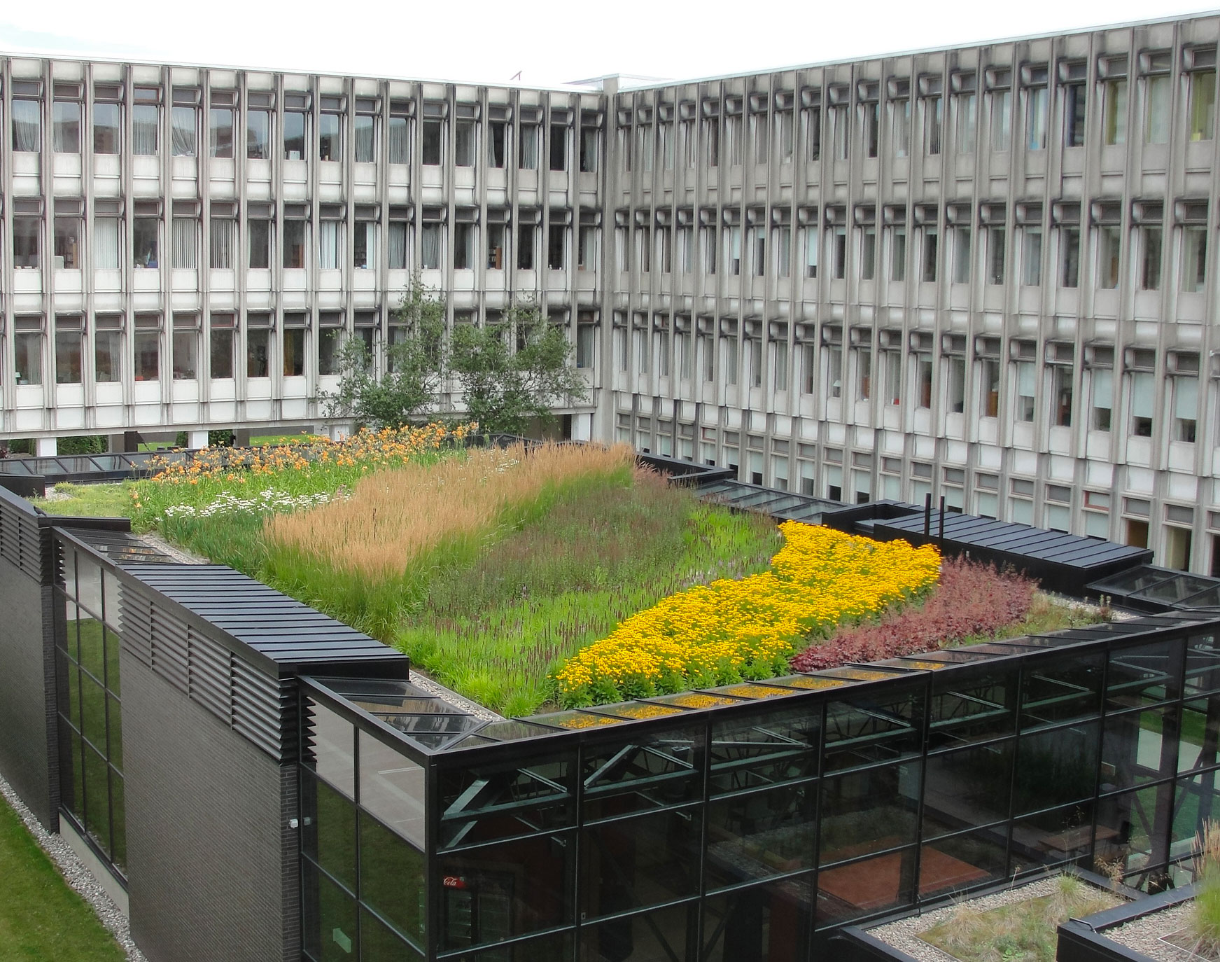découvrez les avantages d'un toit végétal : amélioration de l'isolation, réduction des nuisances sonores et contribution à la biodiversité. transformez votre espace en un véritable havre de paix tout en participant à la lutte contre le réchauffement climatique.