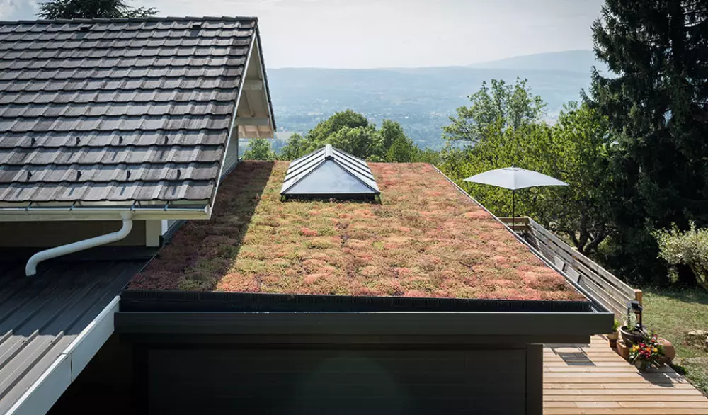 découvrez les avantages des toits végétaux : des solutions durables pour améliorer l'isolation, favoriser la biodiversité et embellir votre espace urbain. apprenez comment ces systèmes innovants contribuent à une ville plus verte et plus agréable.