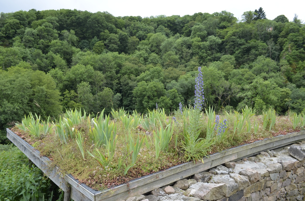 découvrez les avantages du toit végétal : une solution écologique pour améliorer l'isolation de votre bâtiment, réduire les îlots de chaleur et favoriser la biodiversité urbaine. optez pour un aménagement durable et esthétique qui valorise votre espace tout en contribuant à la réduction de l'empreinte carbone.
