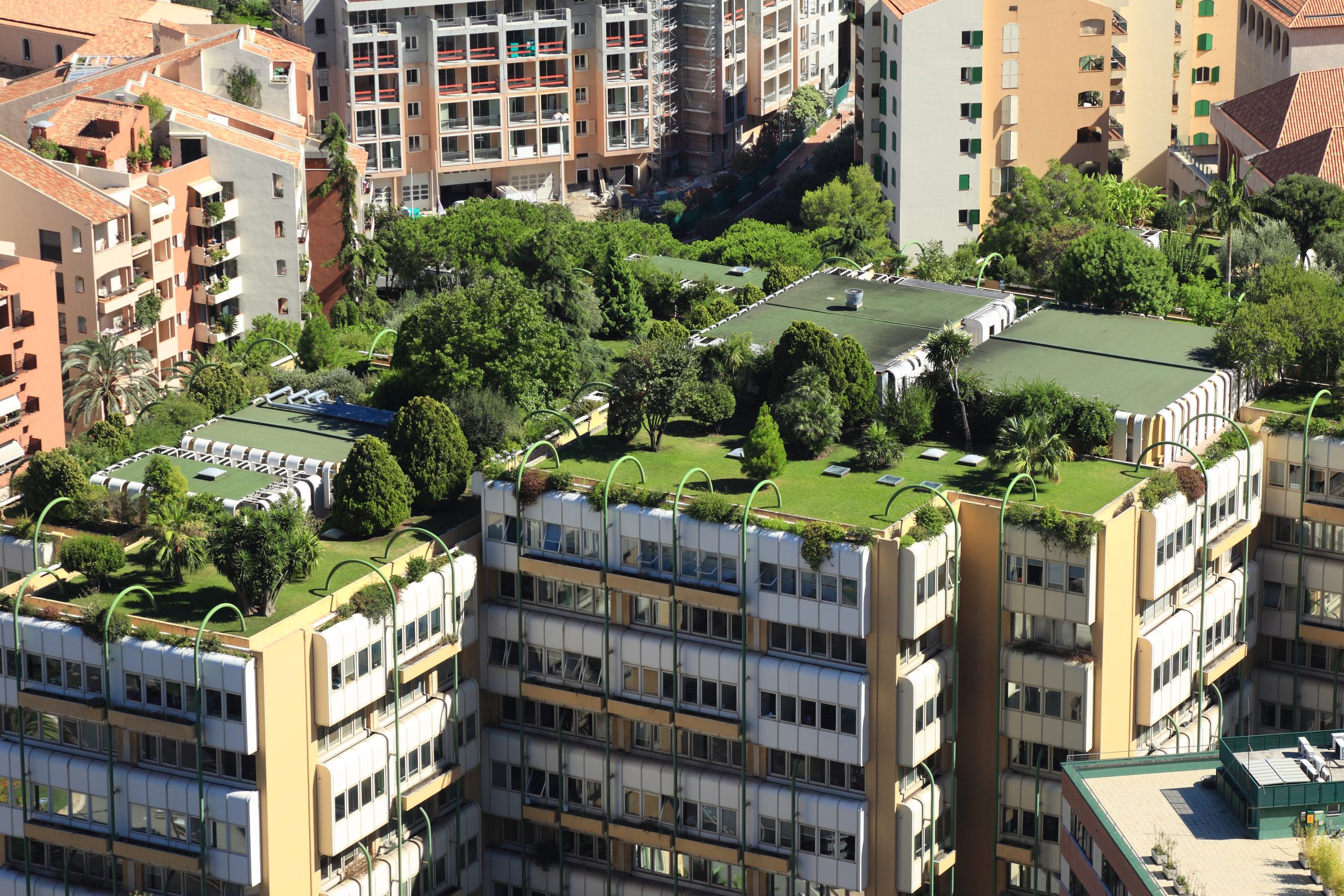 découvrez les avantages des toits végétaux : une solution écologique pour améliorer l'isolation, favoriser la biodiversité et embellir vos espaces urbains. transformez votre toiture en un jardin suspendu et profitez des bienfaits d'une nature intégrée dans votre habitat.