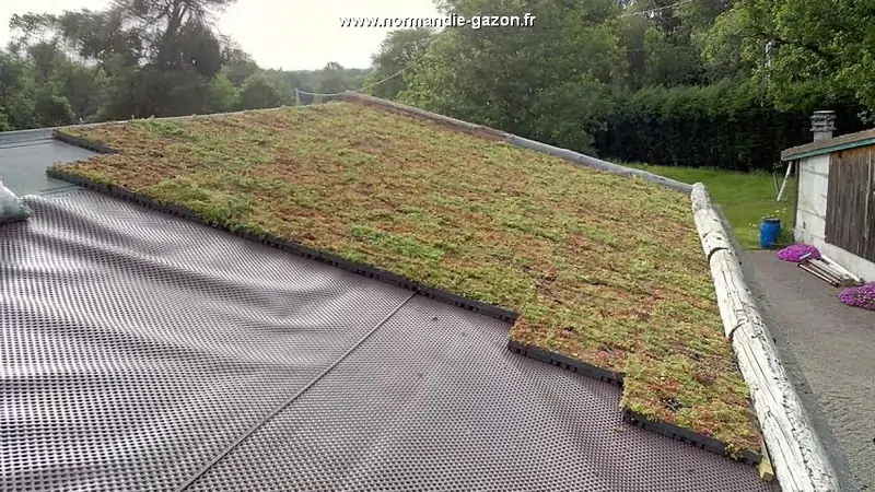 découvrez les avantages du toit végétal sur bac acier : une solution écologique et esthétique qui améliore l'isolation, favorise la biodiversité et ajoute une touche de verdure à vos constructions. optez pour l'innovation et préservez l'environnement tout en embellissant votre espace.