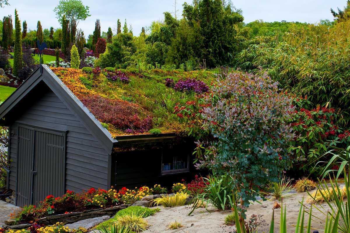 découvrez les avantages des toits végétalisés : une solution écologique pour améliorer l'isolation, favoriser la biodiversité et embellir votre espace urbain. transformez votre toit en un véritable jardin suspendu!