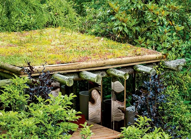 découvrez les avantages et l'impact environnemental d'un toit végétalisé. transformez votre toiture en un espace vert qui améliore l'esthétique de votre bâtiment, favorise la biodiversité et contribue à l'isolation thermique. idéal pour les amateurs de durabilité et d'innovation, un toit végétalisé est la solution parfaite pour un avenir plus écologique.