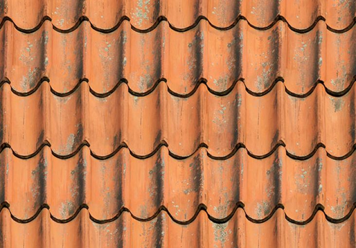 découvrez notre large sélection de tuiles, idéales pour embellir votre toiture et protéger votre maison. que ce soit pour une nouvelle construction ou une rénovation, trouvez le style et la couleur qui s'adaptent parfaitement à vos besoins.