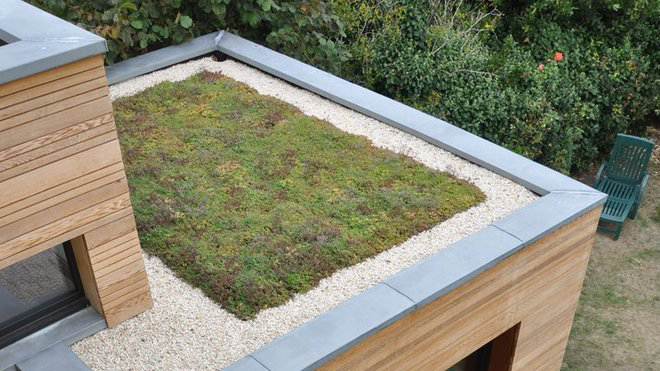 découvrez les avantages de la végétalisation de votre toit : améliorez votre qualité de vie, réduisez votre empreinte carbone et participez à la biodiversité urbaine tout en créant un espace vert apaisant et esthétique.