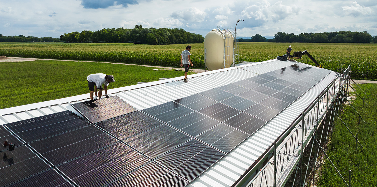 découvrez les principaux acteurs du marché des panneaux solaires en france. comparez les fabricants, installateurs et fournisseurs d'énergie solaire pour faire le meilleur choix pour votre projet d'énergie renouvelable.