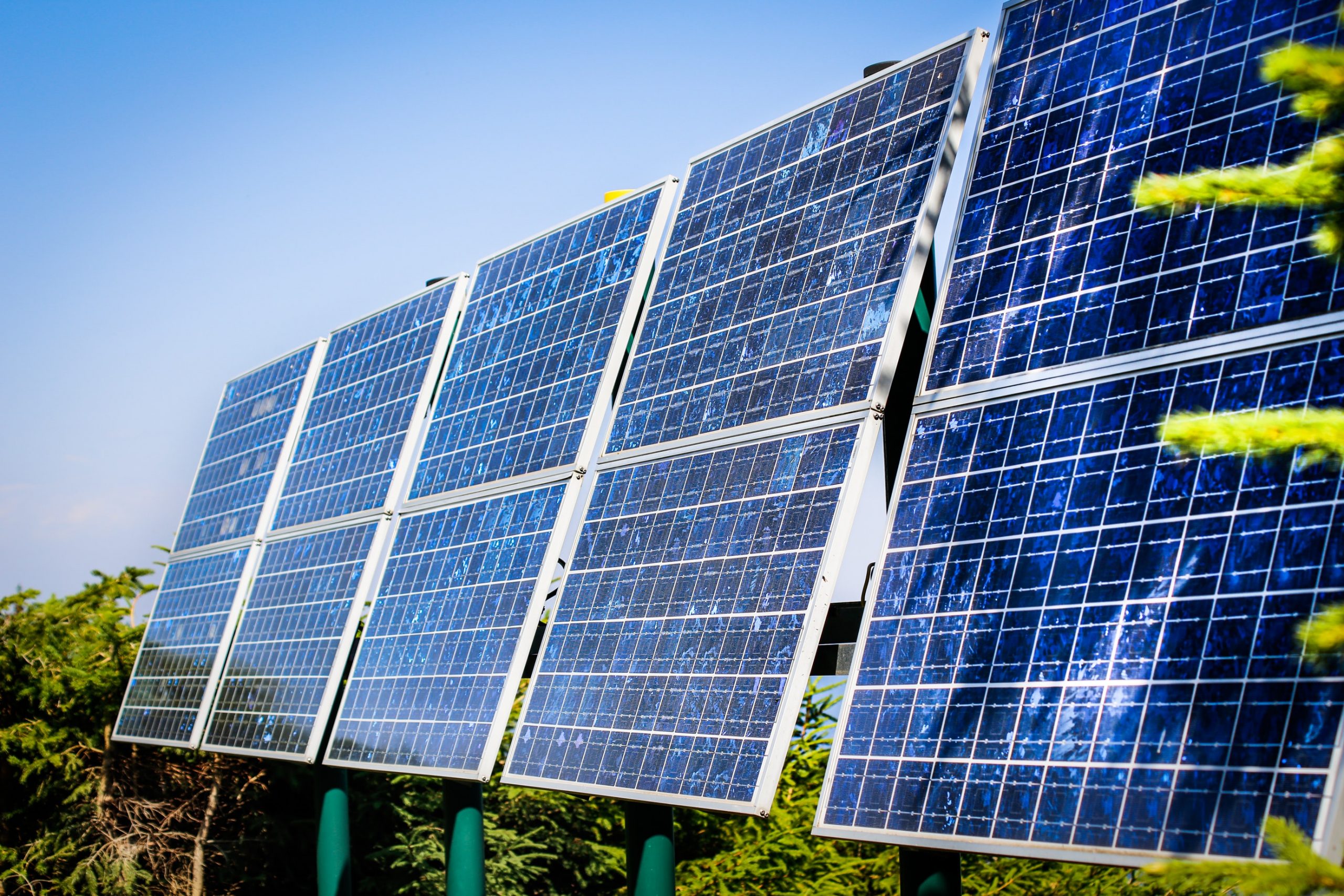 découvrez les principaux acteurs de l'industrie des panneaux solaires, leurs innovations et contributions à la transition énergétique. informez-vous sur les marques leaders, les technologies avancées et les tendances du marché pour un avenir durable.