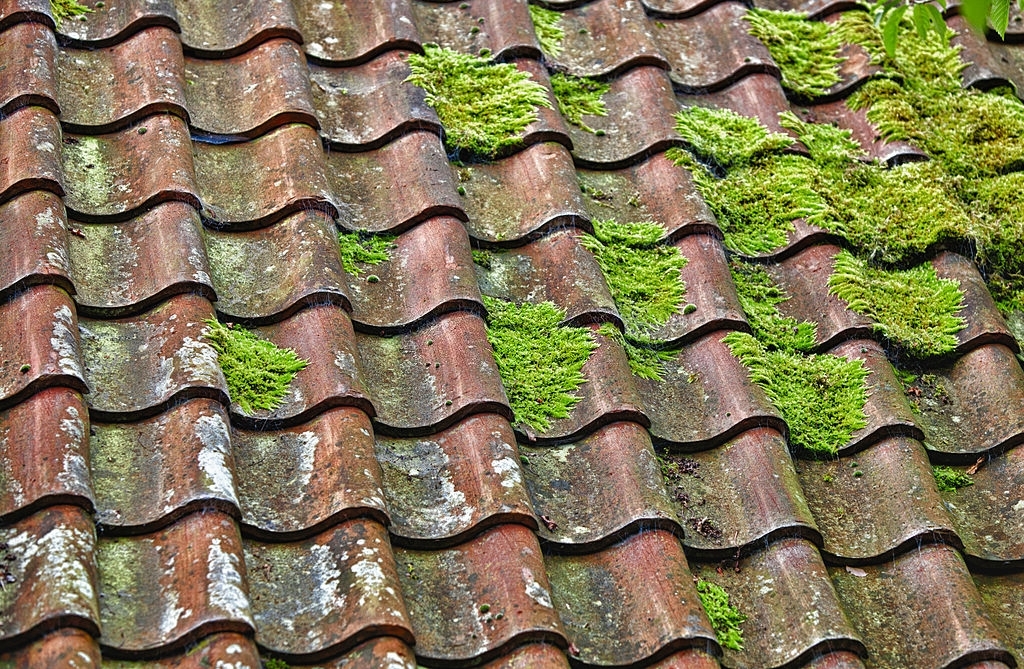 découvrez notre guide sur l'anti-mousse pour toit, idéal pour éliminer les taches et l'accumulation de mousse. protégez votre toiture et prolongez sa durée de vie grâce à nos conseils et produits efficaces!