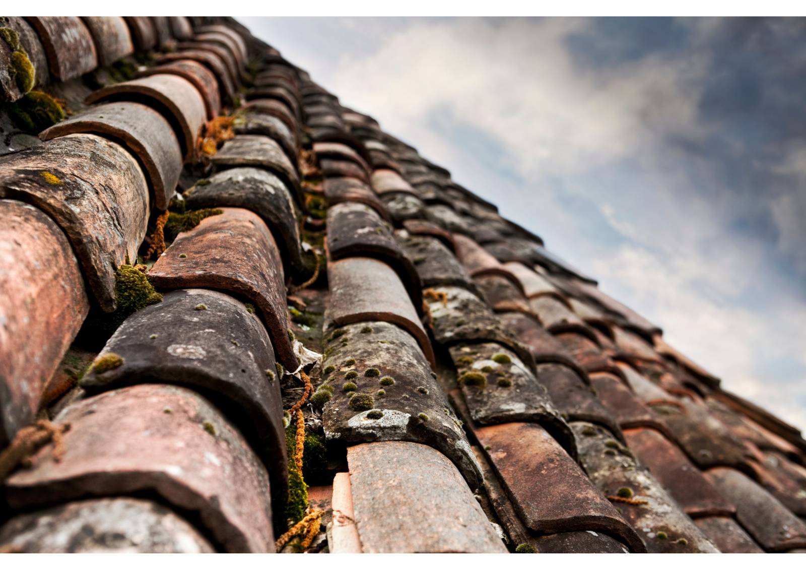 découvrez notre anti-mousse pour toits, une solution efficace pour éliminer la mousse, les algues et les lichens, tout en protégeant et prolongeant la durée de vie de votre toiture. facile à appliquer, il redonne un aspect neuf à votre toit tout en prévenant les dommages futurs.
