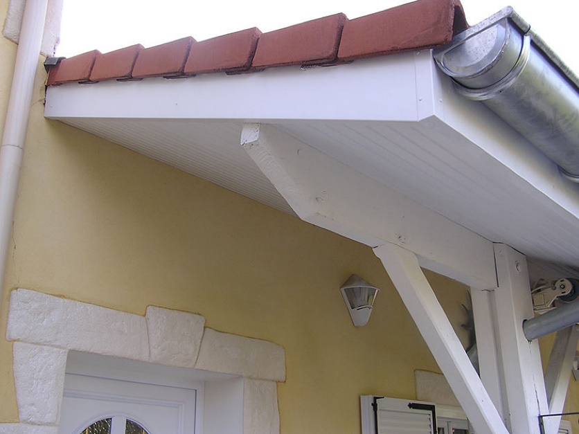 découvrez l'importance et les avantages de l'avant-toit dans l'architecture. apprenez comment cet élément protègera votre maison des intempéries tout en ajoutant une touche esthétique à votre façade. explorez les différents styles et matériaux pour personnaliser votre avant-toit selon vos goûts.