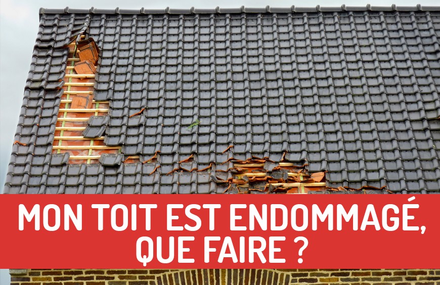 découvrez notre sélection de bâches de toit robustes et durables, adaptées à tous vos besoins de protection. idéales pour protéger votre véhicule, abri de jardin ou terrasse, nos bâches offrent une excellente résistance aux intempéries. commandez dès maintenant pour garantir la longévité de vos installations.